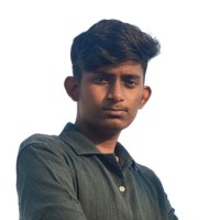 DINESHKUMAR L