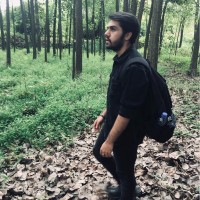 Amir Asadi