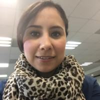 Diana Martinez Pineda