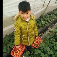 李富平