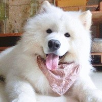 蔡创明
