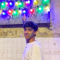 Muhammad Ameerul