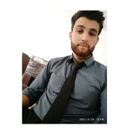 Viqar Ayoub