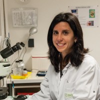 Ana Villares