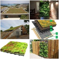 Joru Support Greenroof management BV