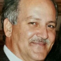 Reza Mohammadi