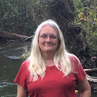 Donna Cheek