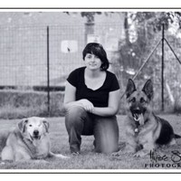 Ars Canis Education-canine