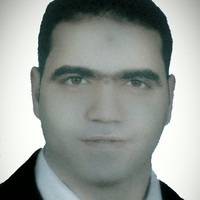 Mohamed Shawki
