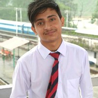 Ankit Brijwasi