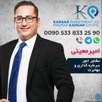 amir abbas moeini