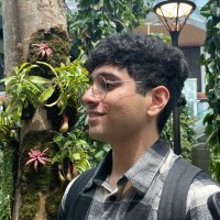 Saad Ullah