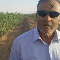 Sohrab Ehsan