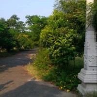 priya sai