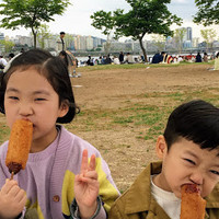 안상화