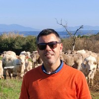 Carlos Sotelino