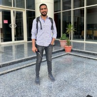 Mahmoud L. El Sawy