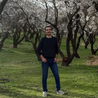 Ali Fathi