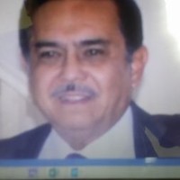 Delfino Ramirez Monroy