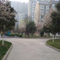 王xx