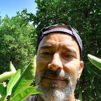 Vicente Poveda Lorente