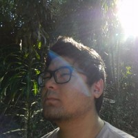 Vitor Seiya Itokazu