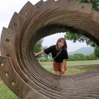 杨梦蝶