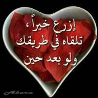 حسين العز