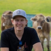 Matt Petrashkevich