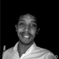 Al- Ameer Mohamed