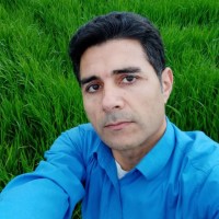 Hamid Mohammadi