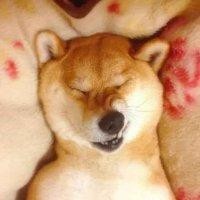 蔡炫昉