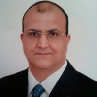 ashraf aly