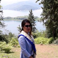 Elham Imaie