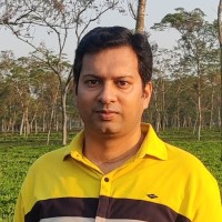 Swastik Chakravorty