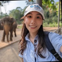 Kim Liên Đỗ