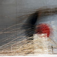 Fiona Carruthers