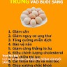 T. Thi