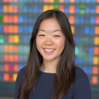 Anli Chen
