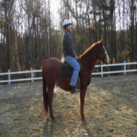 Stephan Baum Md