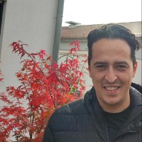 Adis Pilipovic