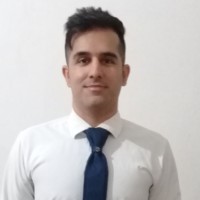 Mostafa Mir