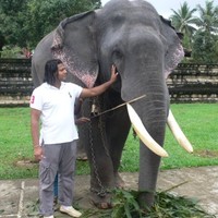 Shermal Fernando