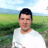 juan vergara