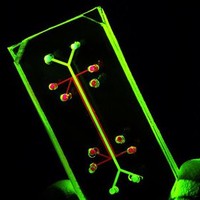 Biochips & Tissue Chips