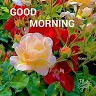 Naresh Bhandari