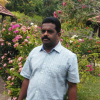 Vineeth P