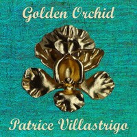 Patrice Villastrigo SkinnyLlamaProductions .com