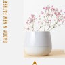 Grandma Soong Cheung