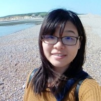 Li-chen Wang